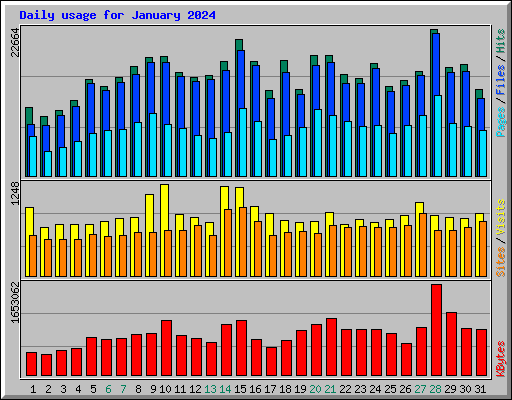 Daily usage for January 2024