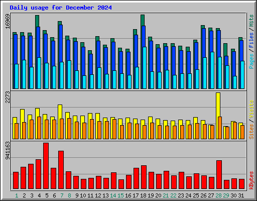 Daily usage for December 2024