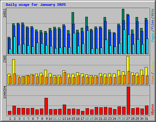 Daily usage for January 2025