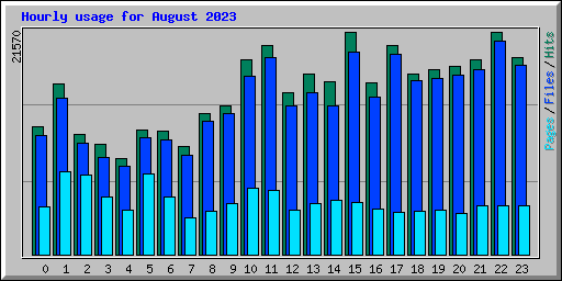 Hourly usage for August 2023