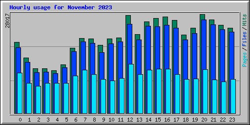 Hourly usage for November 2023