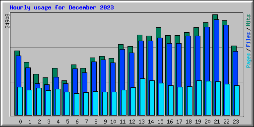 Hourly usage for December 2023