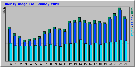 Hourly usage for January 2024