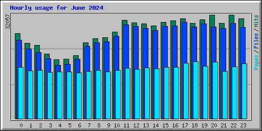 Hourly usage for June 2024