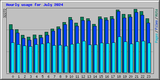 Hourly usage for July 2024