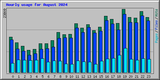 Hourly usage for August 2024