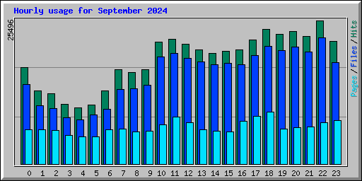 Hourly usage for September 2024