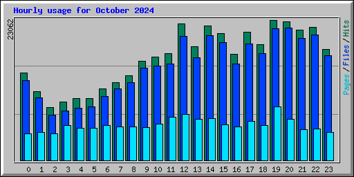 Hourly usage for October 2024