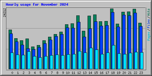 Hourly usage for November 2024