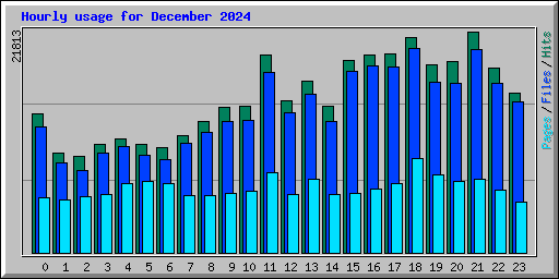 Hourly usage for December 2024