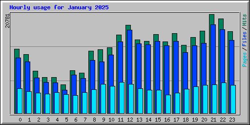 Hourly usage for January 2025