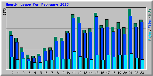 Hourly usage for February 2025