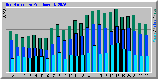 Hourly usage for August 2026